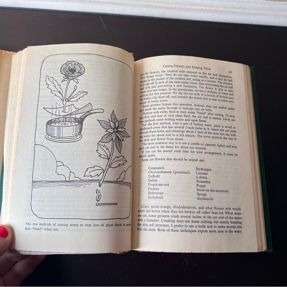 Vintage 1977 Book " Flowers When you Want Them" by John James "A Growing Guide - Picture 9 of 10